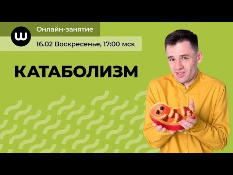 АТФ против ЕГЭ 2020 | Изучаем катаболизм