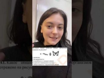 Разбор А1. ЦТ 2023