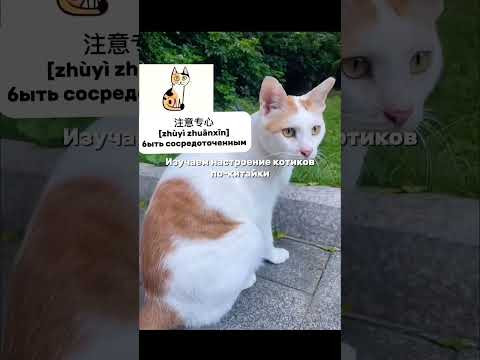 ⭐️Приходите на наш БЕСПЛАТНЫЙ ИНТЕНСИВ «ФОРМУЛА ГРАММАТИКИ» запись по ссылке в описании канала ⭐️Приходите на наш БЕСПЛАТНЫЙ ИНТЕНСИВ «ФОРМУЛА ГРАММАТИКИ» запись по ссылке в описании канала