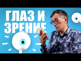Глаз и зрение