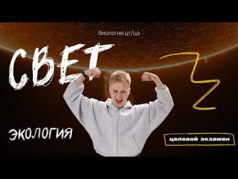 СВЕТ. ФОТОПЕРИОД И ФОТОПЕРИОДИЗМ | Целевой экзамен