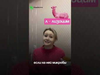 Тест по теме можно пройти в нашем тг по ссылке в шапке профиля