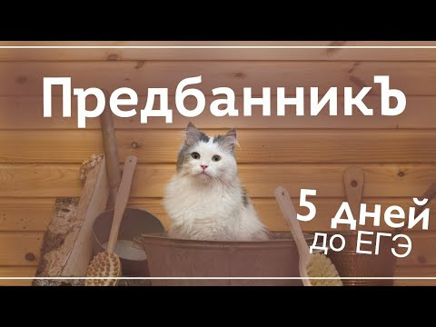Предбанник (5 дней до ЕГЭ, 2 часть, сочинение)