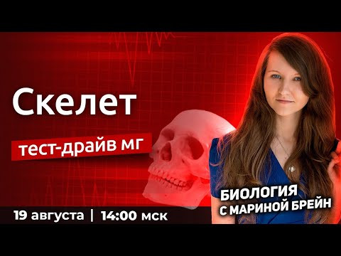 СКЕЛЕТ | ДЕНЬ 3 |ТЕСТ-ДРАЙВ МАСТЕР-ГРУППЫ ОСНОВА