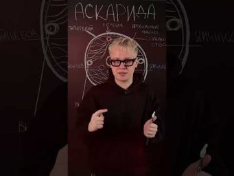 Строение аскариды | Биология с Яном