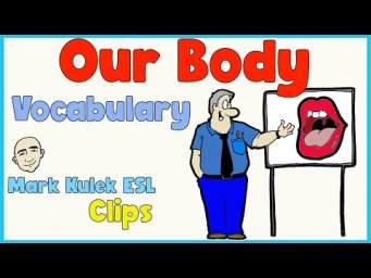 Our Body (vocabulary) | English Class (clips) - Mark Kulek ESL