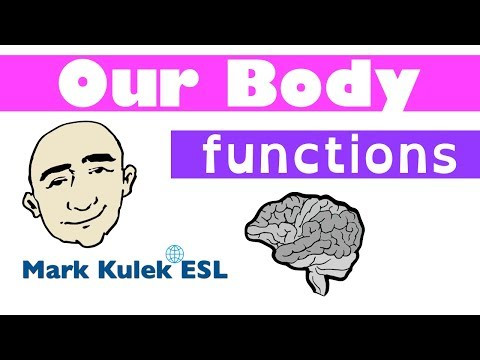 Our Body - body expressions and functions/purposes | Mark Kulek - ESL Our Body - body expressions and functions/purposes | Mark Kulek - ESL