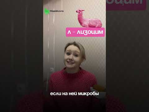 Тест по теме можно пройти в нашем тг по ссылке в шапке профиля