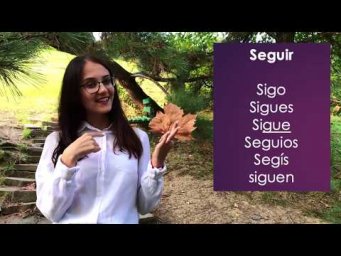 Я ВСЕ ЕЩЕ... (SEGUIR + GERUNDIO)