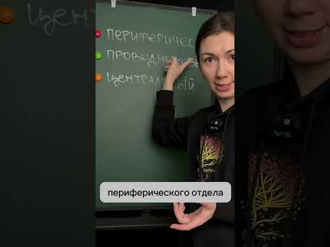 Знакомься &ndash; это ухо! С его строением ты уже наверняка знаком. А вот что такое слуховой анализатор? 