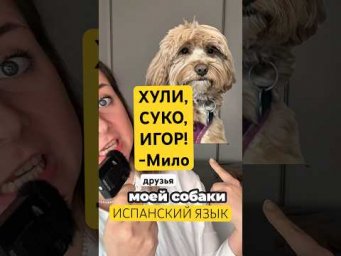 Так называют питомцев на испанском языке 