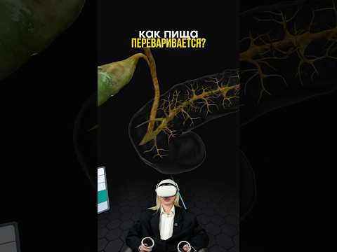 а ты знаешь как пища переваривается?#биология #сотка #егэбиология