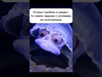 Полный курс подготовки к ЕГЭ по биологии в ссылках канала