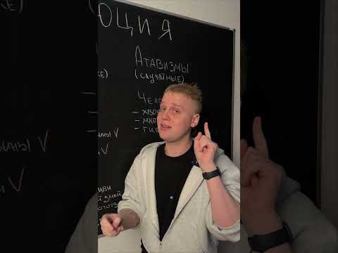 Эволюция. Рудименты и атавизмы | Биология с Яном Эволюция. Рудименты и атавизмы | Биология с Яном