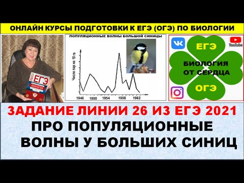 ЗАДАНИЕ ЛИНИИ 26 ИЗ ЕГЭ 2021 ГОДА ПРО ПОПУЛЯЦИОННЫЕ ВОЛНЫ У БОЛЬШИХ СИНИЦ