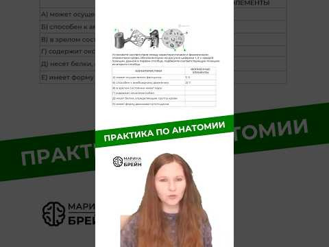 ПРАКТИКА ПО АНАТОМИИ #биологияегэ #биология #анатомия