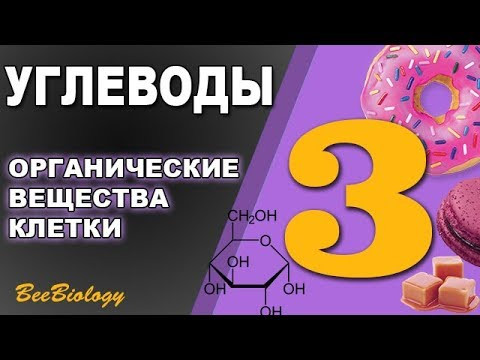 Углеводы &bull; Органические вещества клетки  &bull; Быстрые и медленные углеводы