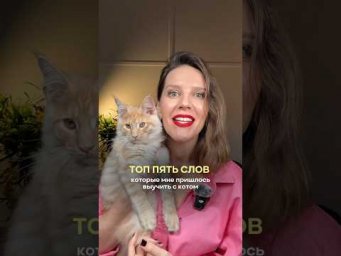 КОШАЧИЙ СЛОВАРЬ