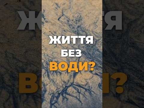 Життя без води? Нове відкриття вражає вчених! Життя без води? Нове відкриття вражає вчених!