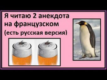 Я читаю 2 анекдота на французском