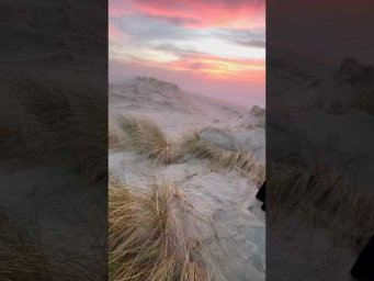 Dunas y el atardecer 