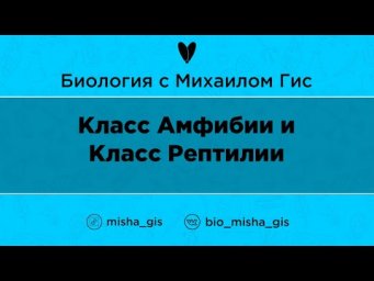 Класс Амфибии и Класс Рептилии | ЕГЭ ОГЭ Биология с Михаилом Гис