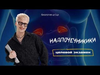 НАДПОЧЕЧНИКИ | Целевой экзамен