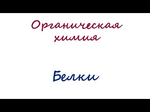 Белки Белки