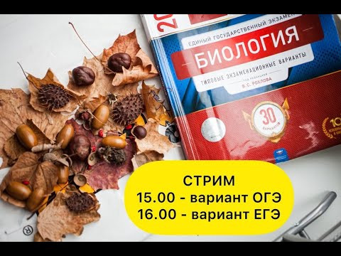 РАЗБОР ВАРИАНТА РОХЛОВА №6 для ОГЭ и ЕГЭ - 2022