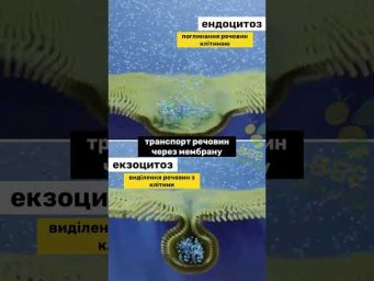 Фагоцитоз, піноцитоз види активного транспорту речовин #нмт #биология #биологияегэ #біологія