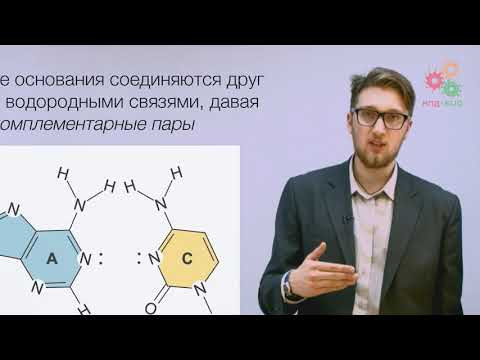 Биологические макромолекулы. Структура ДНК (без музыки)