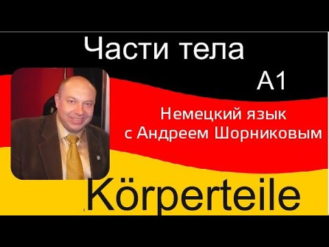 Немецкий язык | Части тела  | Репетитор немецкого