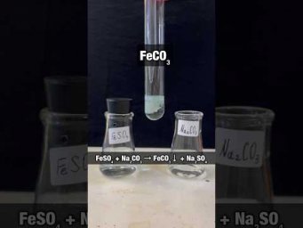 FeSO₄ + Na₂CO₃ &rarr; FeCO₃? #огэпохимии #учимхимию