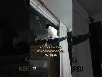 Сам себе враг #история #историяегэ #историческиемемы #империя