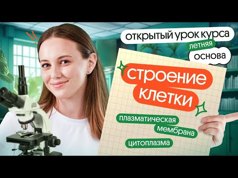 СТРОЕНИЕ КЛЕТКИ: плазматическая мембрана, цитоплазма | Открытый урок курса Летняя Основа СТРОЕНИЕ КЛЕТКИ: плазматическая мембрана, цитоплазма | Открытый урок курса Летняя Основа