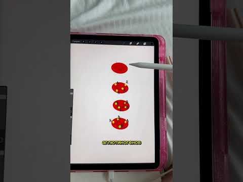 Записаться на годовой курс ЕГЭ можно по ссылке в описании видео #биология #егэ2026 #анатомия
