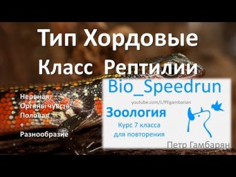 21. Рептилии часть II (Speedrun зоология 7 класс, ЕГЭ, ОГЭ 2021)