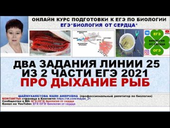 ДВА ЗАДАНИЯ ЛИНИИ 25 ИЗ ЕГЭ 2021 ГОДА ПРО ДЫХАНИЕ РЫБ
