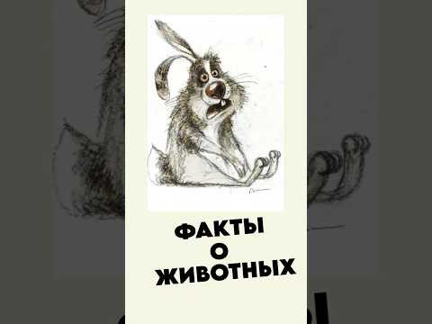 Грустные факты о животных 2 Грустные факты о животных 2