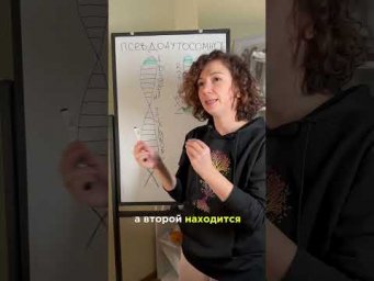 Открытый веб &laquo;Разбор самых сложных заданий по генетике для ЕГЭ&raquo;. Переходи по ссылке в описании!
