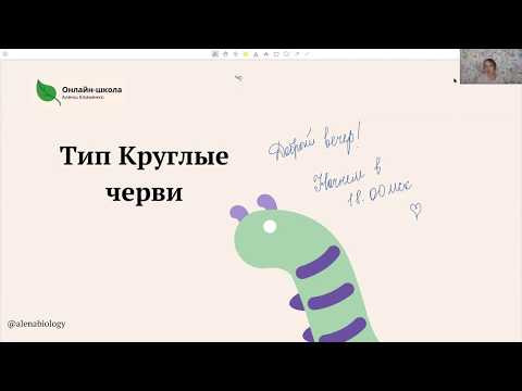 Круглые черви