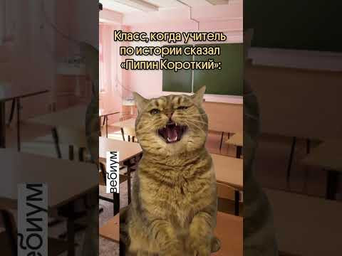 Сдаешь историю? Не забудь забрать бесплатный подарок по ссылке в шапке профиля #историческиемемы Сдаешь историю? Не забудь забрать бесплатный подарок по ссылке в шапке профиля #историческиемемы