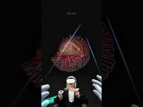 Разбираем вирусы 