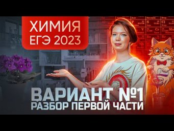 Разбор варианта №1 ЕГЭ по химии 2023 | Дацук Екатерина
