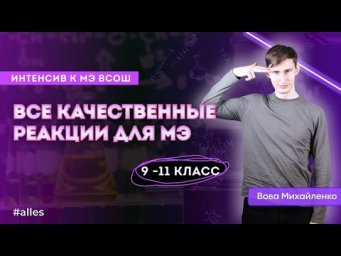 Качественные реакции | Интенсив к муниципальному этапу с Вовой Михайленко | Alles