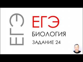 ЕГЭ биология 2020 Задание 24 Рохлов разбор