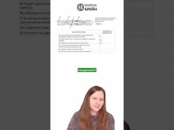 ГДЕ ЦЕНТРОМЕРА  тгк: Марина Брейн #егэ2027 #егэбиология
