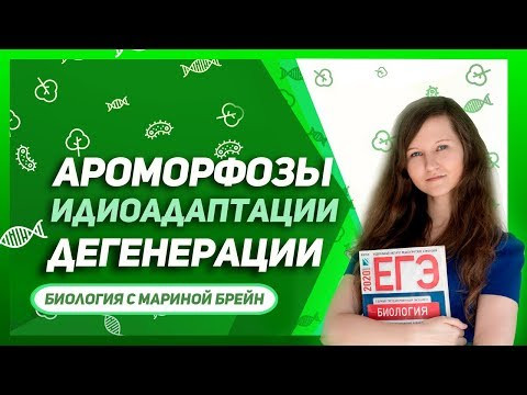 Ароморфоз, идиоадаптация, дегенерация Ароморфоз, идиоадаптация, дегенерация