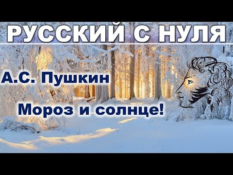 Пушкин "Зимнее утро" для иностранцев. РКИ для всех.
