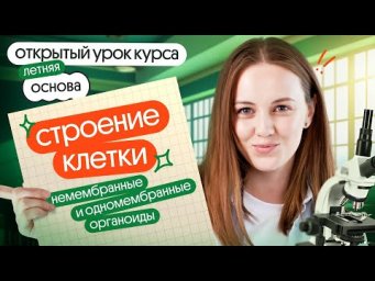 Строение клетки: немембранные и одномембранные органоиды